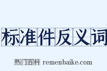 标准件反义词是什么意思的图片